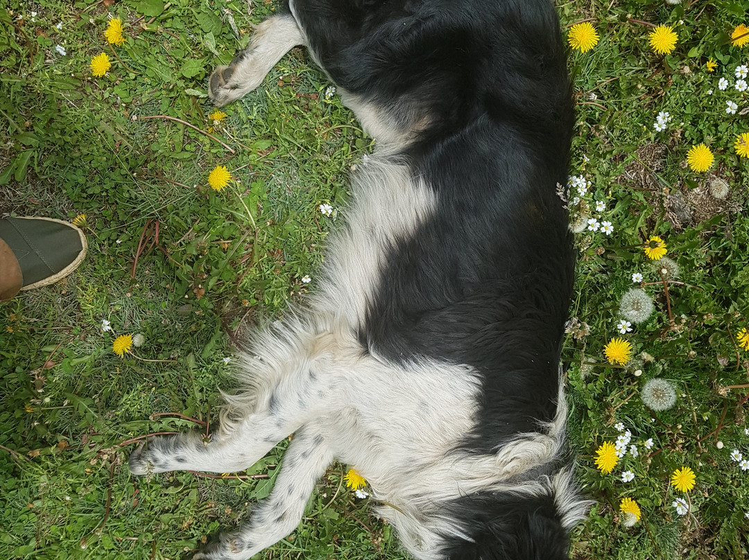 La Quebrada del Cóndor-Tupungato必去景点