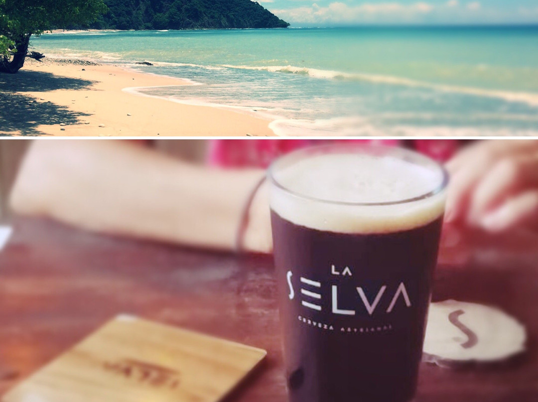 La Selva Cerveza Artesanal景点图片