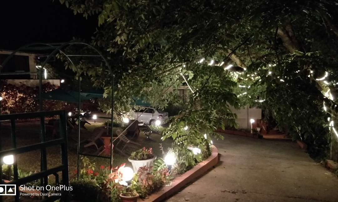 Honeywood Holiday Homes主图