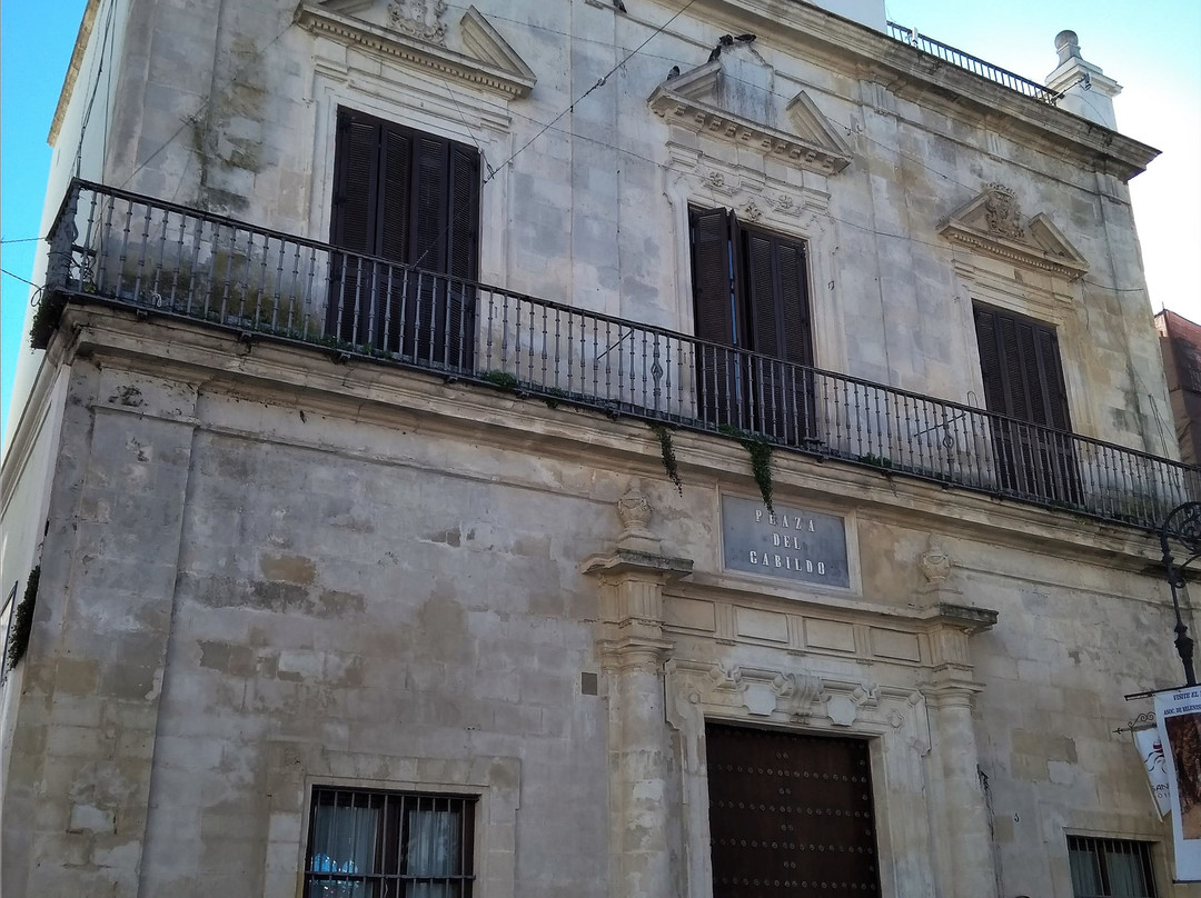 Plaza Del Cabildo景点图片