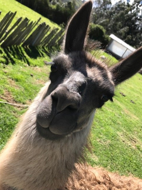 Hotel Cuello de Luna主图