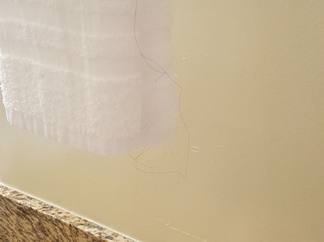 尤金大学旅馆&套房酒店主图