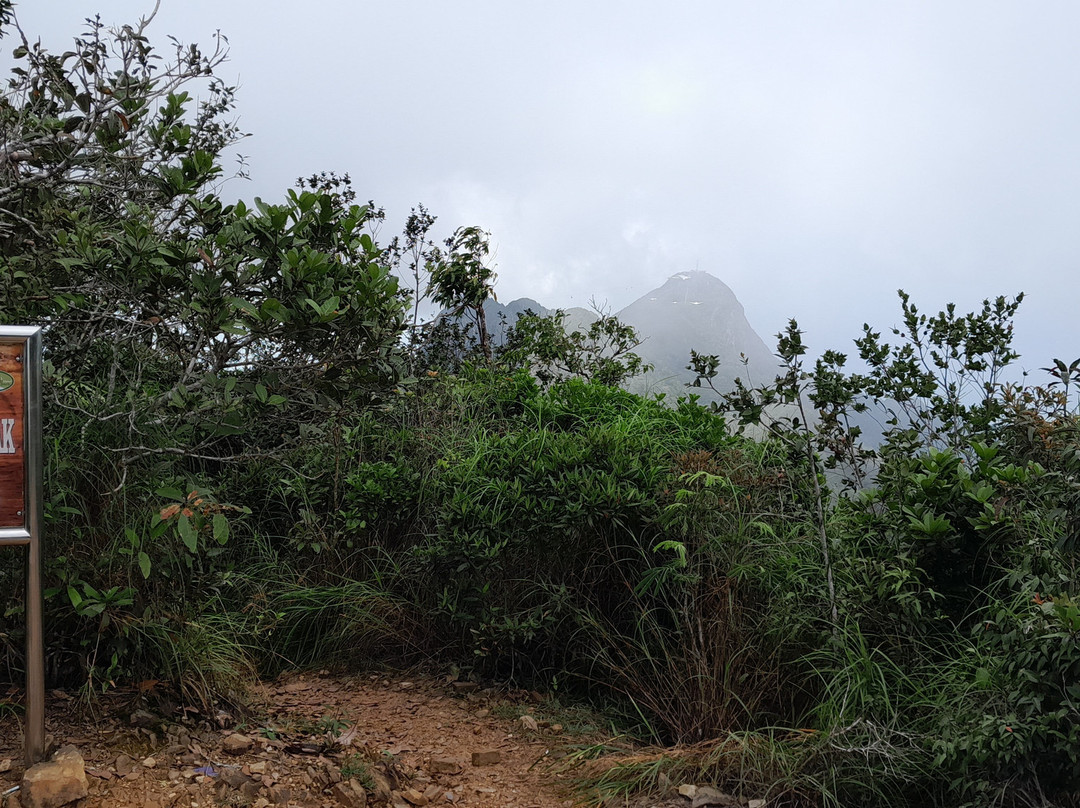Machinchang Peak Hiking景点图片