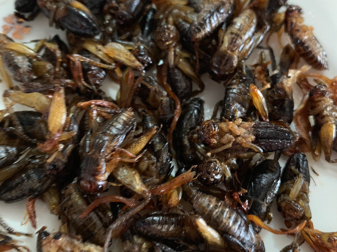 Viet Activity Tours-大勒必去景点