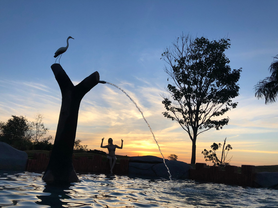 Hotel Thermas Bonsucesso主图