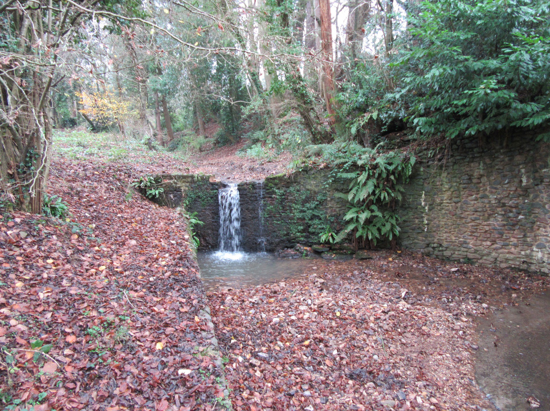 The Glen-Honiton必去景点