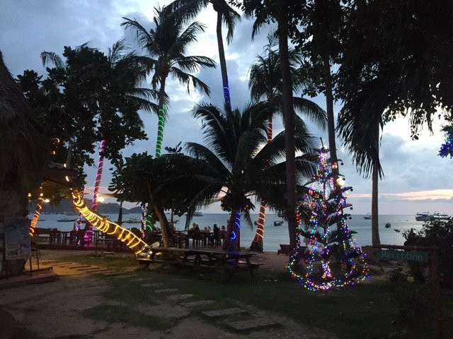 Palm Leaf Resort主图