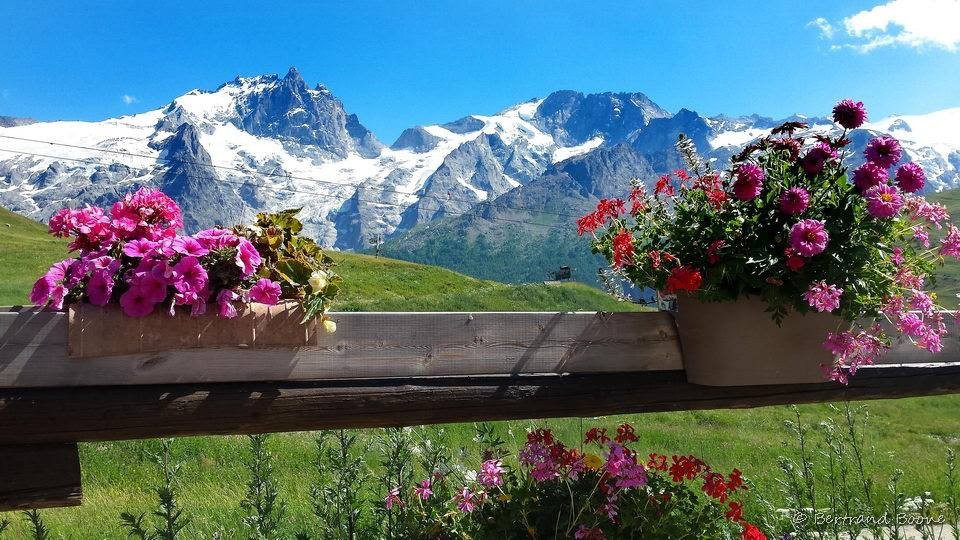 Besse餐馆和美食-Le Chalet Des Plagnes