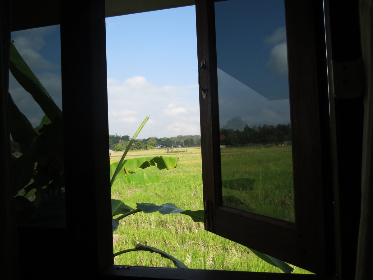 乡村隐居酒店-酒店景观