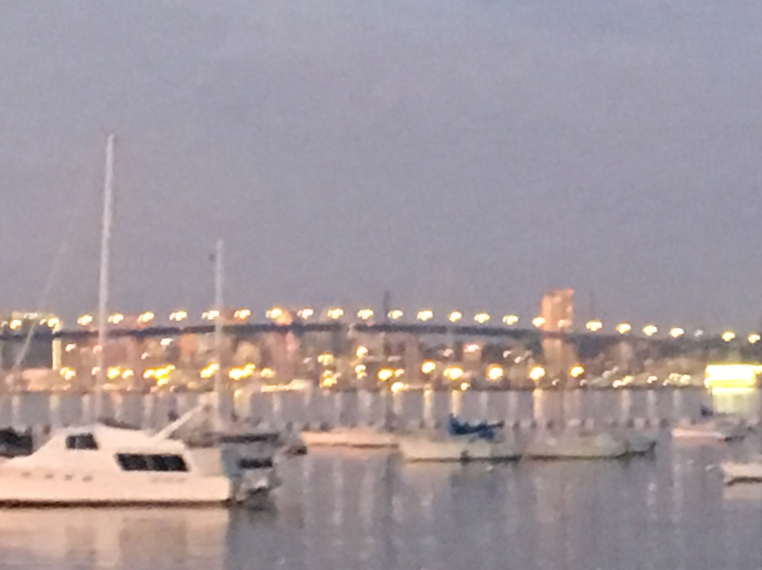 The Coronado Ferry Landing景点图片