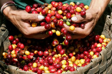 VB Tours-Tapachula必去景点