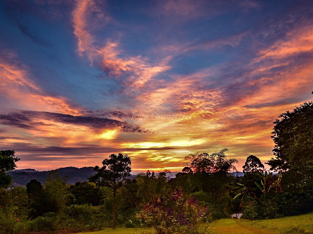 Hacienda Anacaona主图