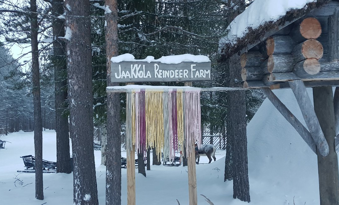 Jaakkola Reindeer Farm景点图片