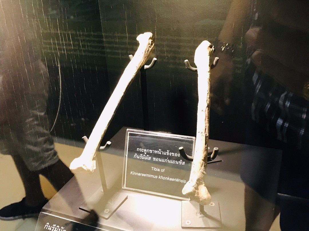 Phu Wiang Dinosaur Museum景点图片