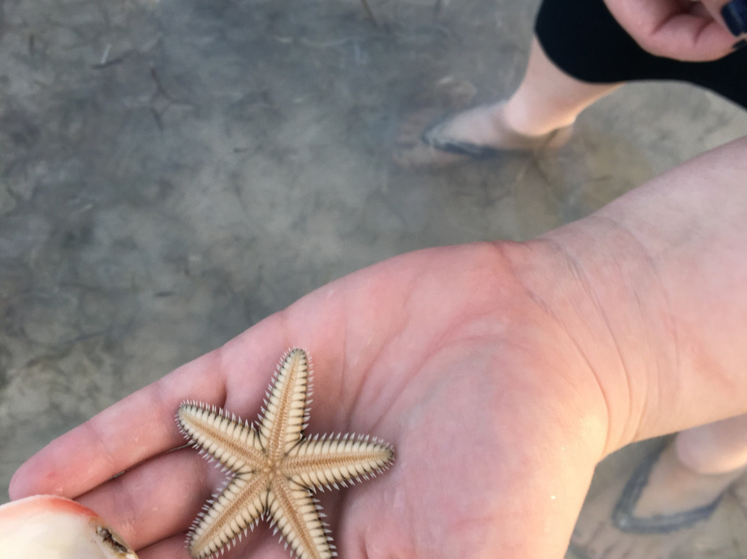 Swains Cay Lodge主图