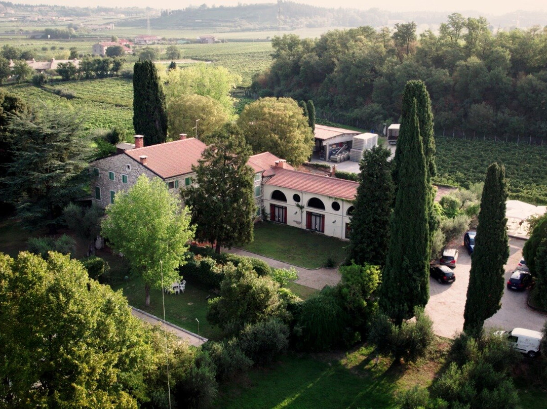 Ca Dei Colli Winery景点图片