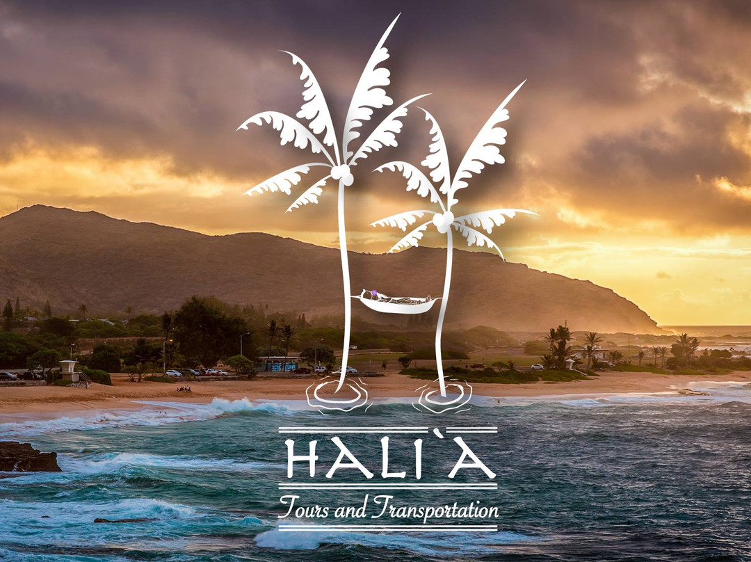 Halia Private Tours-火奴鲁鲁必去景点