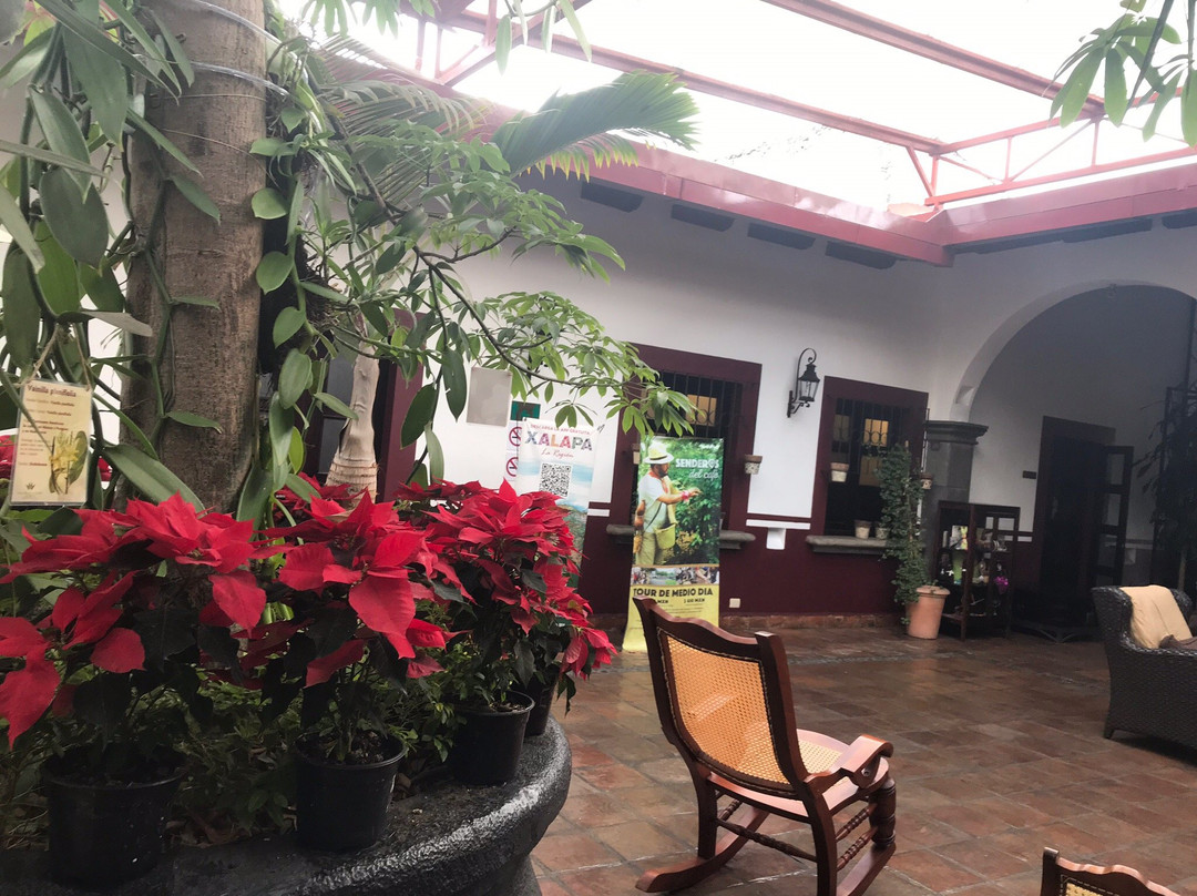 Hotel Casa Real Del Café主图