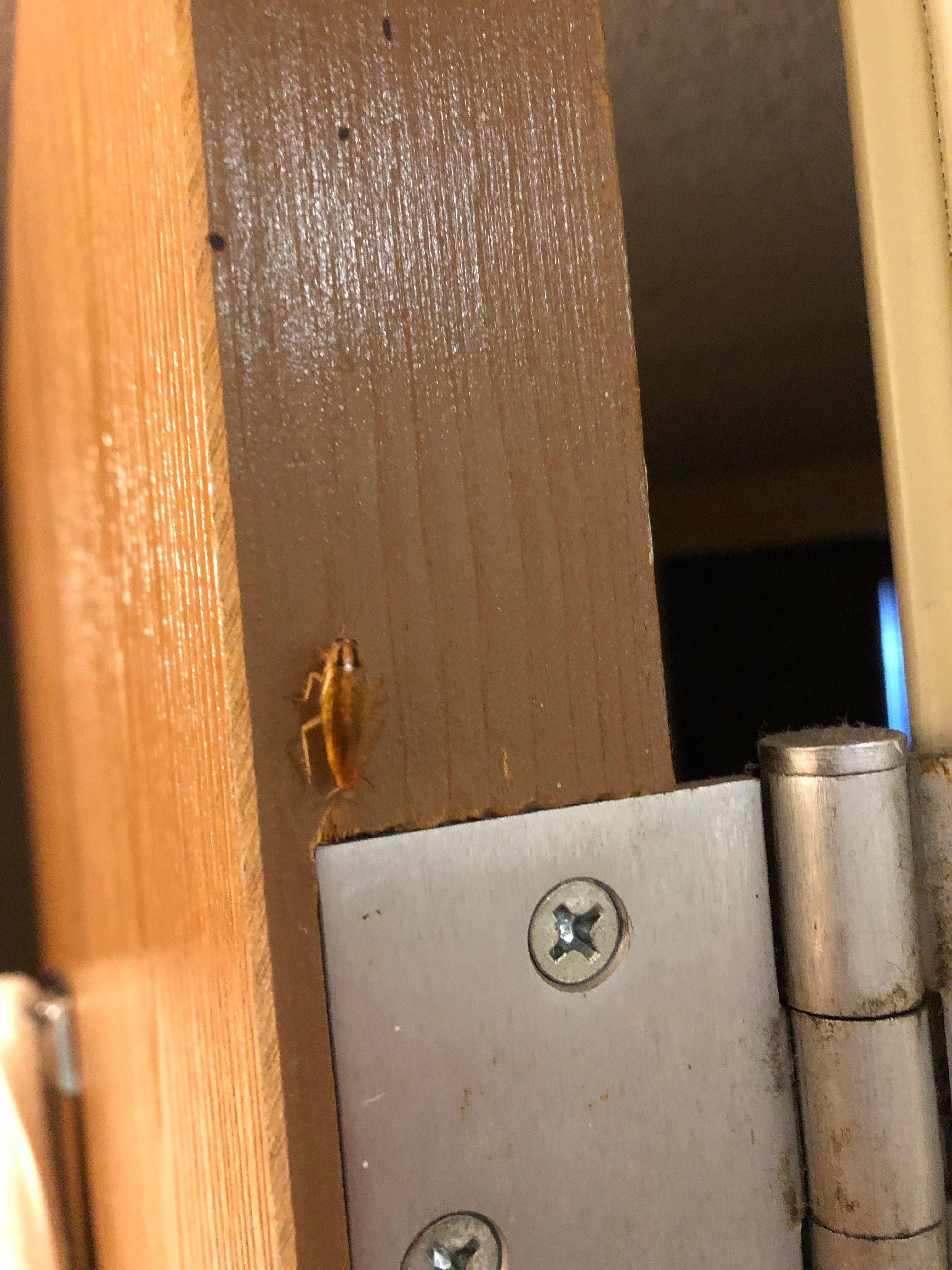 Baymont by Wyndham Gurnee-浴室