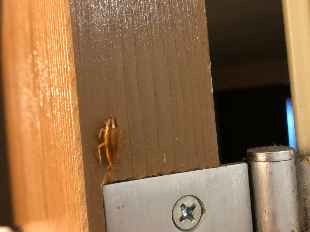 Baymont by Wyndham Gurnee主图