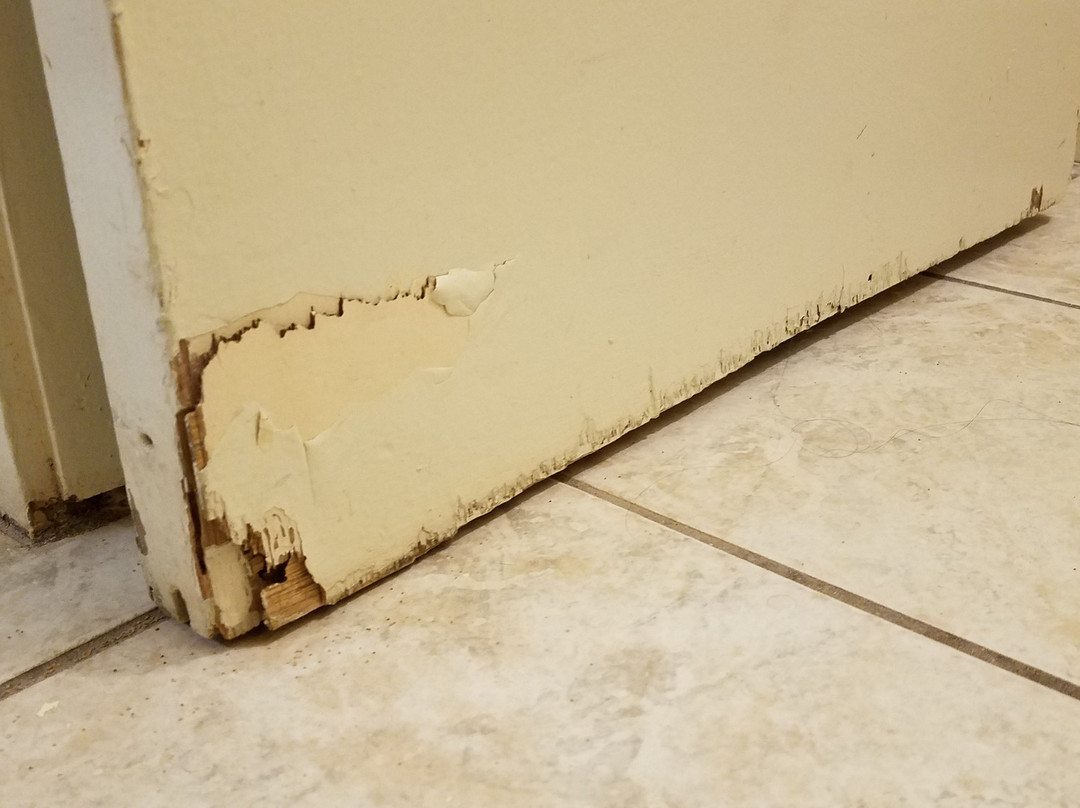 卡阿纳帕利海洋酒店主图