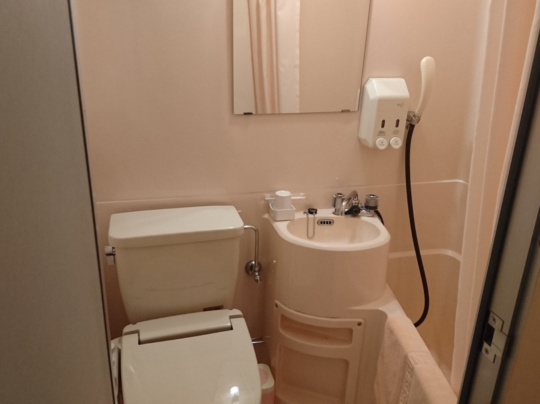 Joetsu Sun Plaza Hotel主图