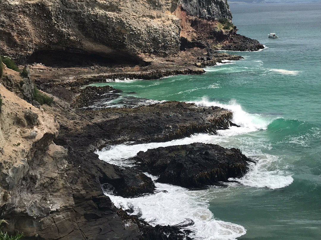 D-Tours Otago-但尼丁必去景点