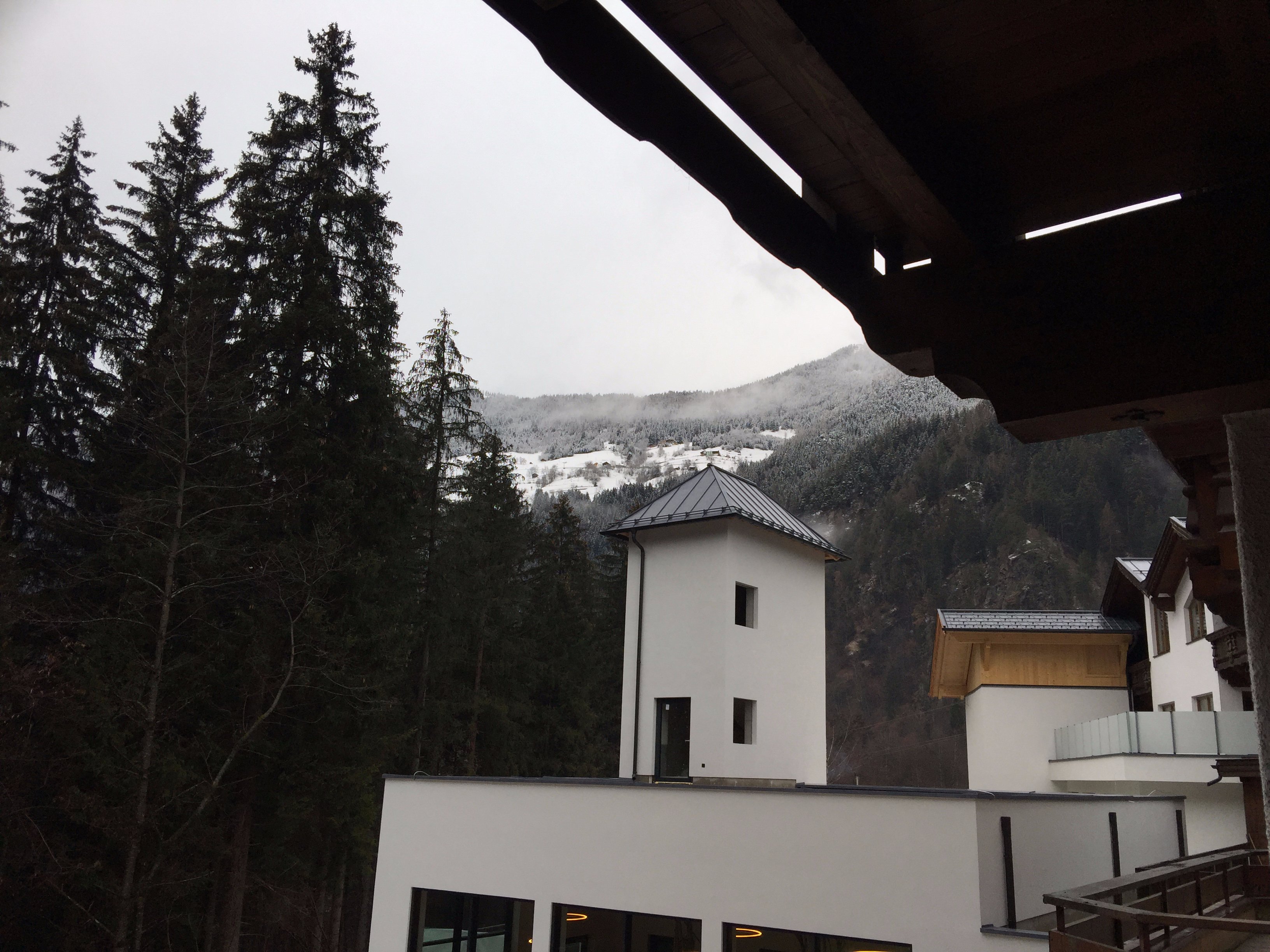 Hotel Waldhof-酒店景观