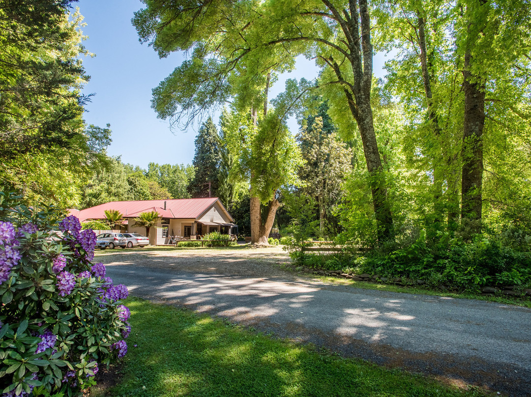 Avalon House
