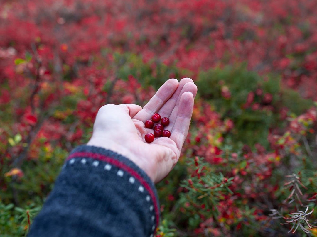 Finland Naturally Experiences-Nummela必去景点