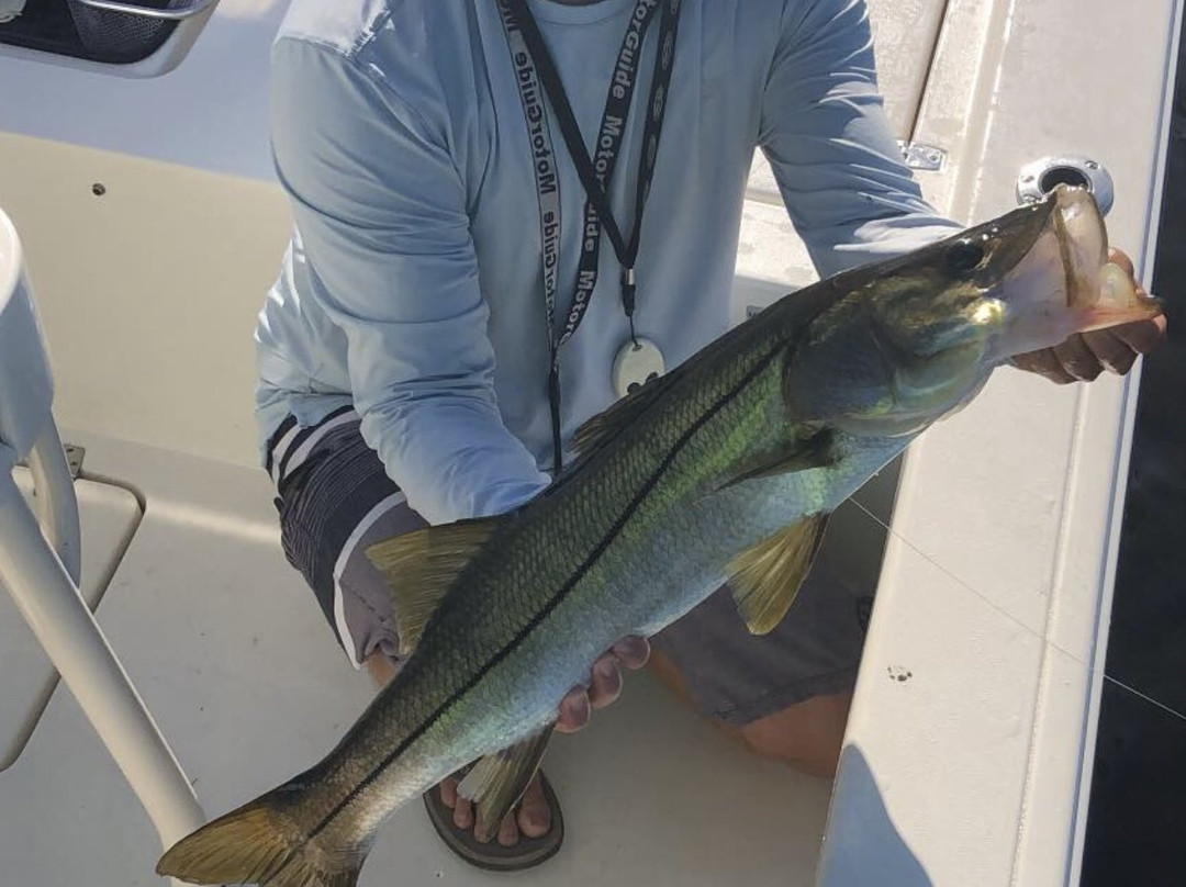 941 Fishing Charters-布雷登顿必去景点