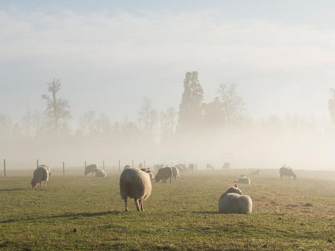 Quesos Chiriuco-Puerto Octay必去景点