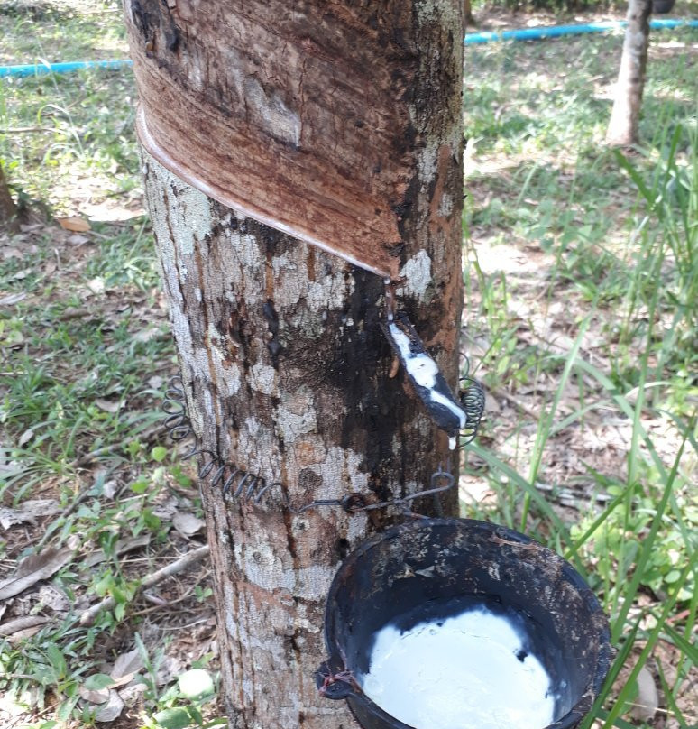 Trad Cycling Tours-桐艾必去景点