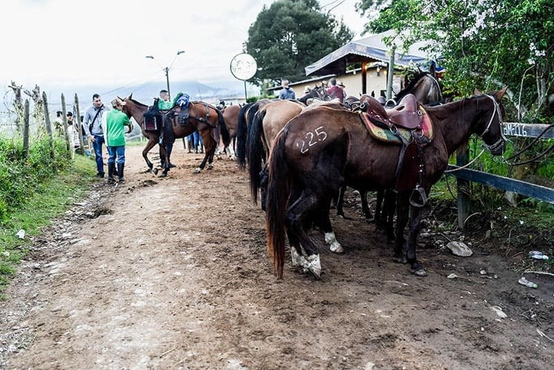 Cabalgatas Oriente-麦德林必去景点