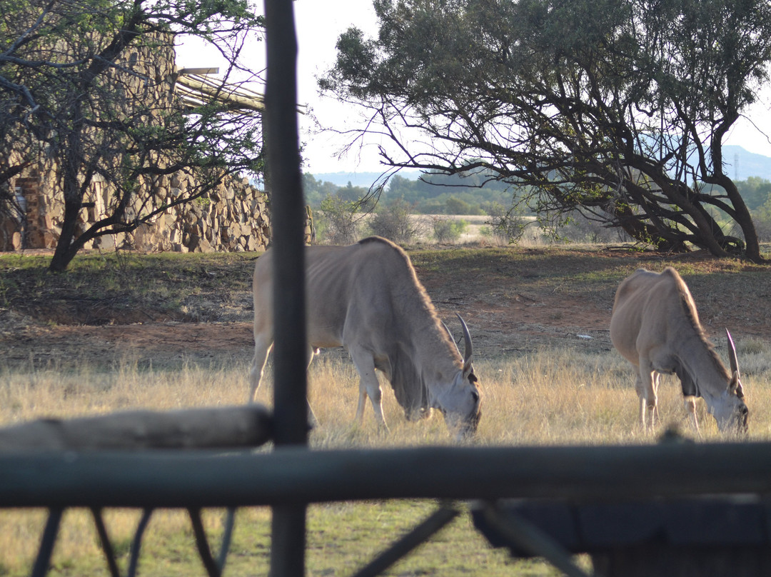 Emoya Basotho Lodge & Spa主图