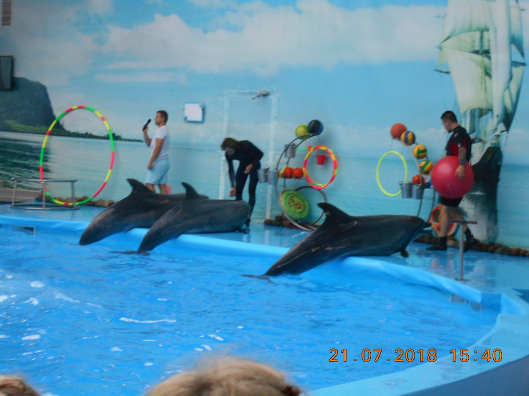 Minsk Dolphinarium Nemo-明斯克必去景点