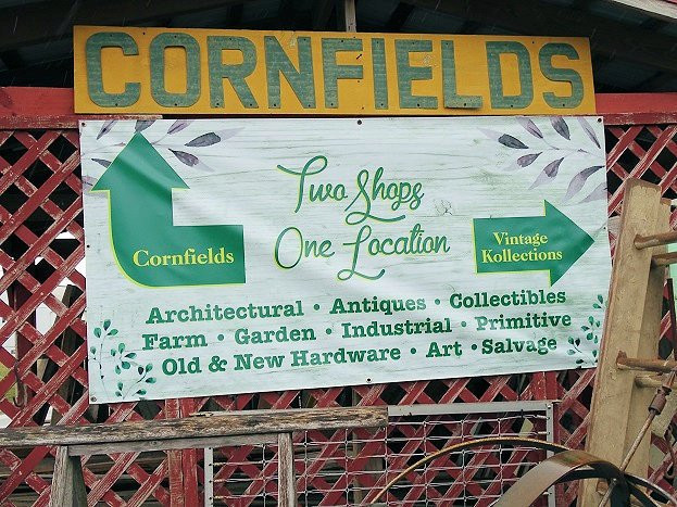 Cornfields景点图片
