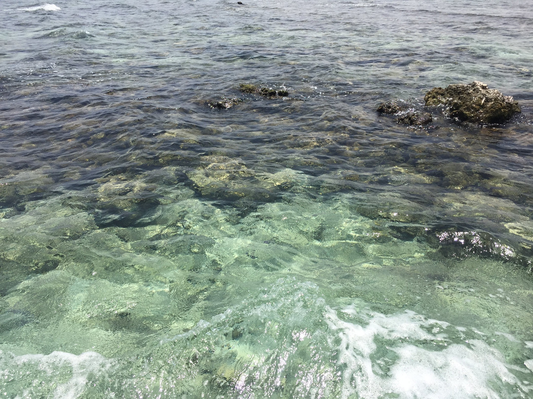 Red Sea Secret Diving Center-Port Sudan必去景点