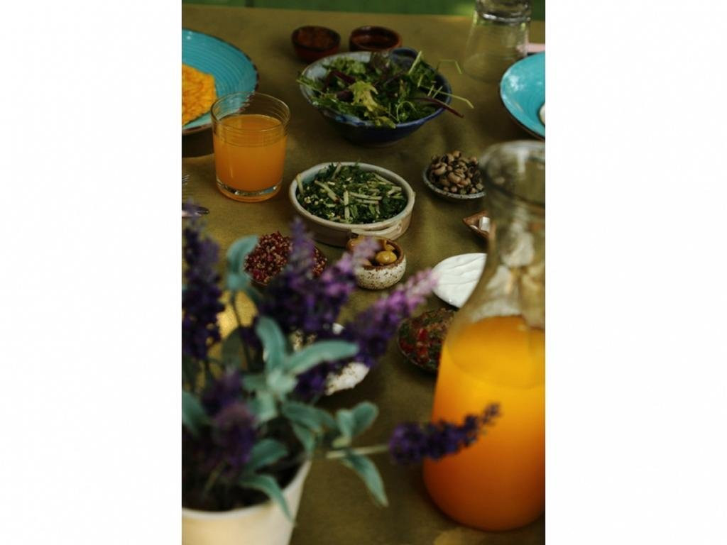 Aley Galil - wooden cabins in the forest主图