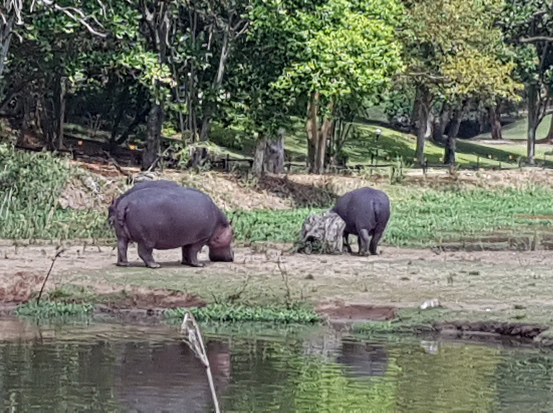 Sabi River Sun Resort主图