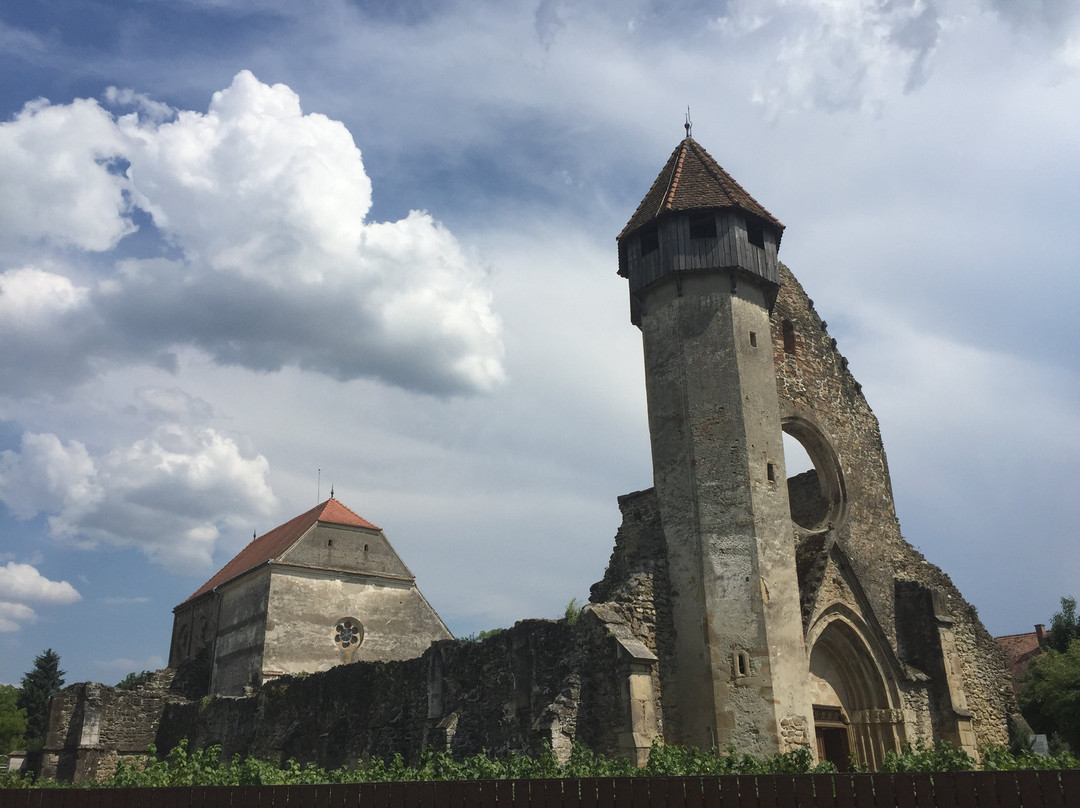 Carta旅游攻略图片