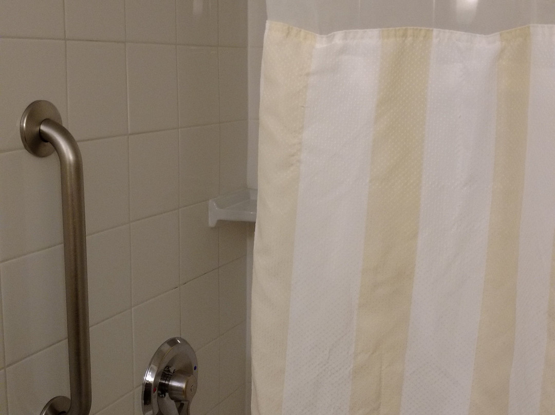 泰森斯角希尔顿花园旅馆主图