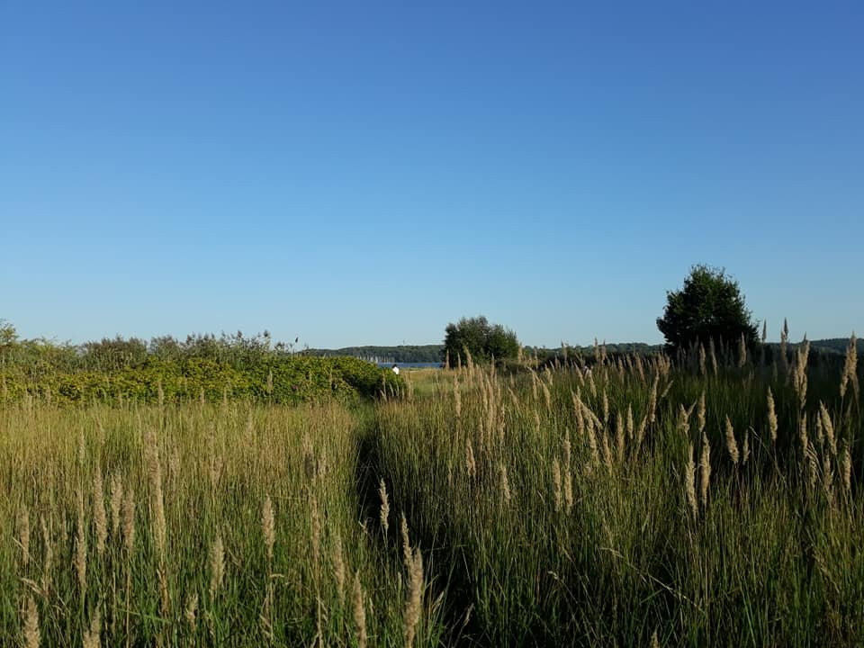Falckensteiner Strand-基尔必去景点