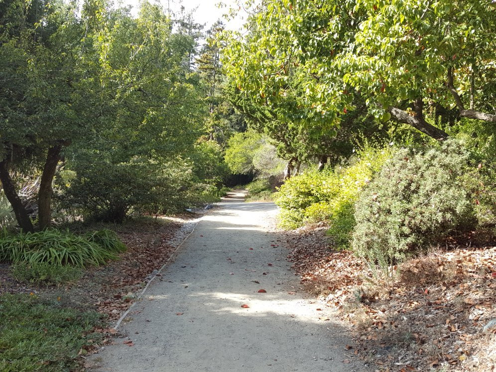 Blake Garden-Kensington必去景点