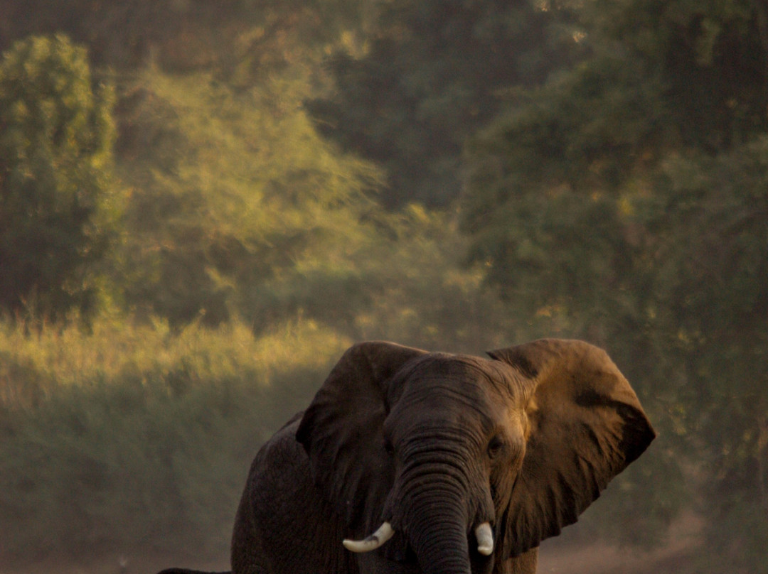 Open Skies Wilderness Expeditions-尼斯普鲁特必去景点