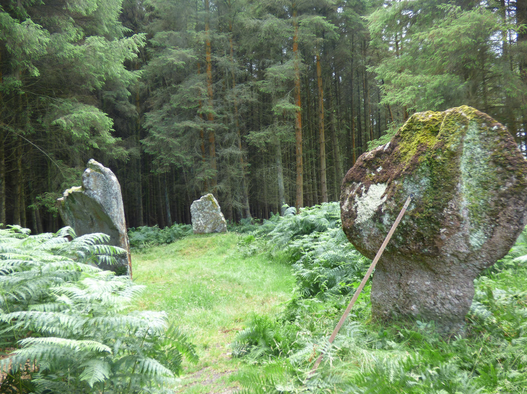 Kingarth Standing Stones景点图片
