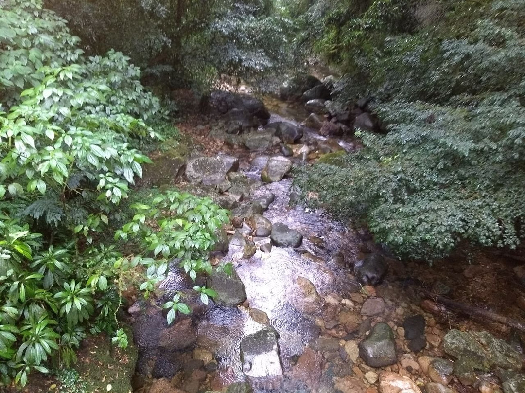 Caminho do Itupava景点图片
