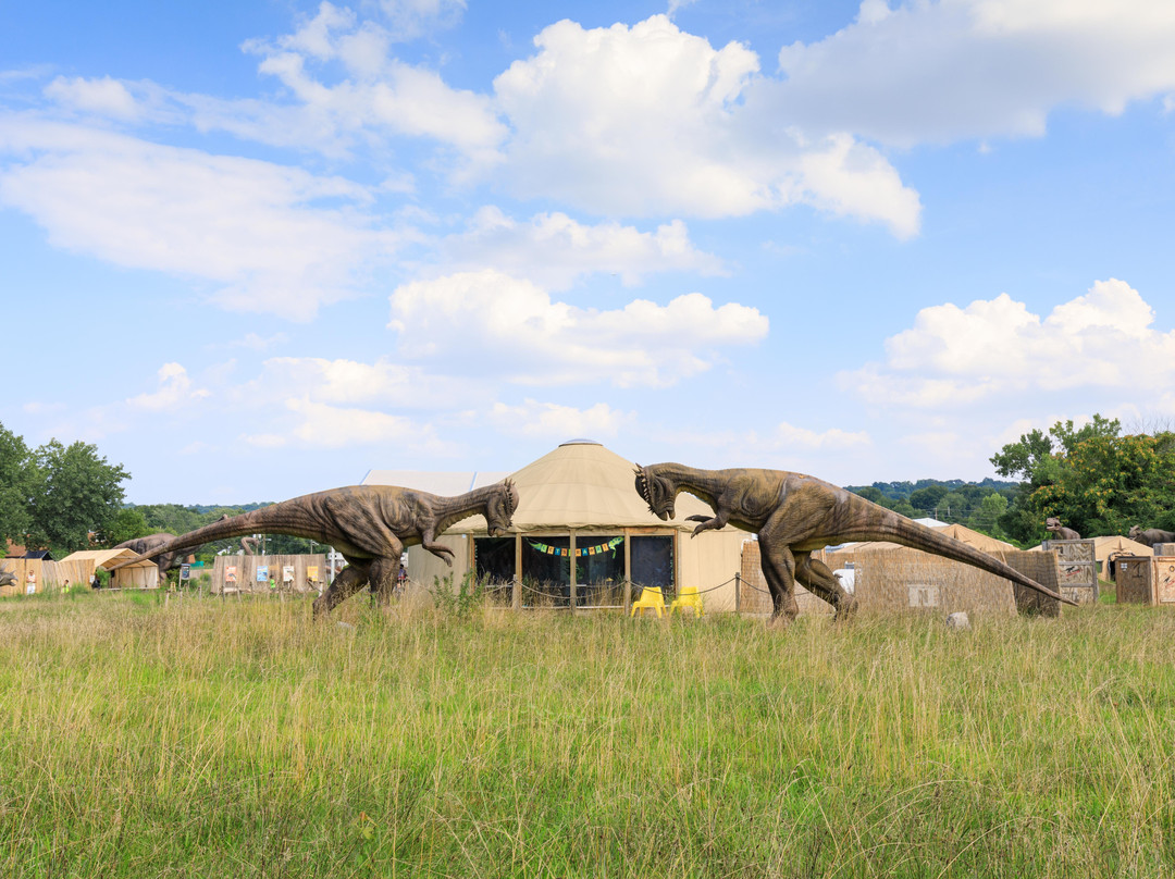 Field Station: Dinosaurs景点图片