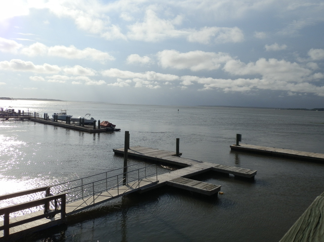 Edisto Beach旅游攻略图片