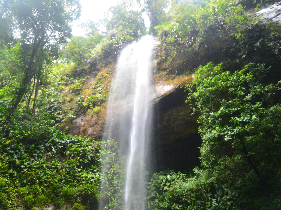 Cascada La Sierpe景点图片